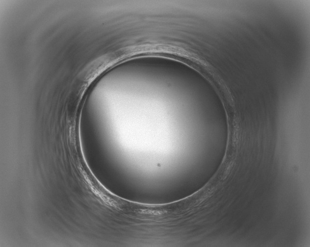 X0000086041513200703301026