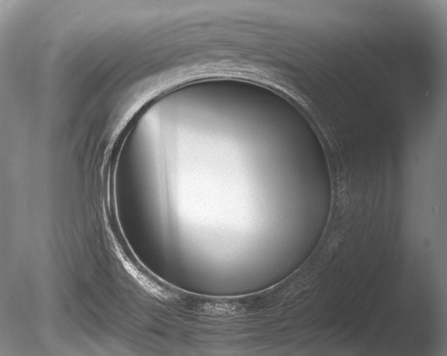 X0000086041515200703301026
