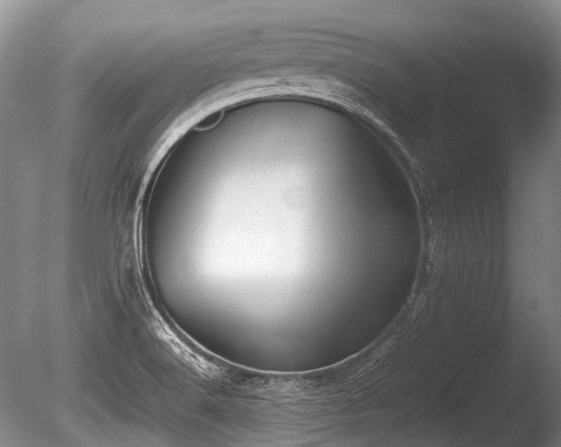 X0000086041516200703301026