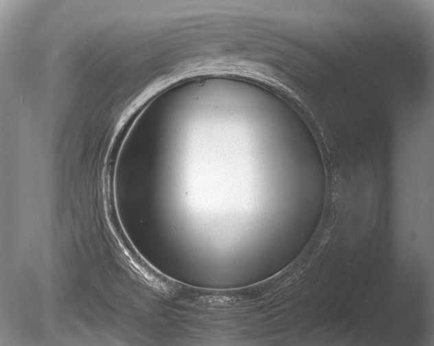 X0000086041517200703301026