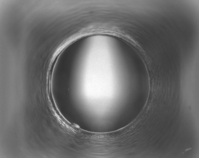 X0000086041520200703301026