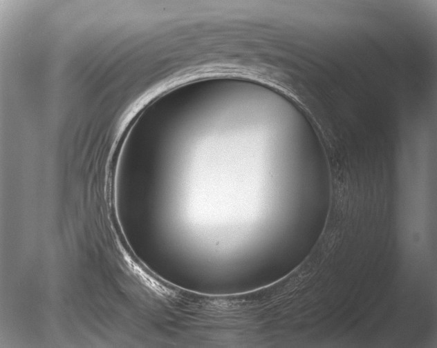X0000086041527200703301026
