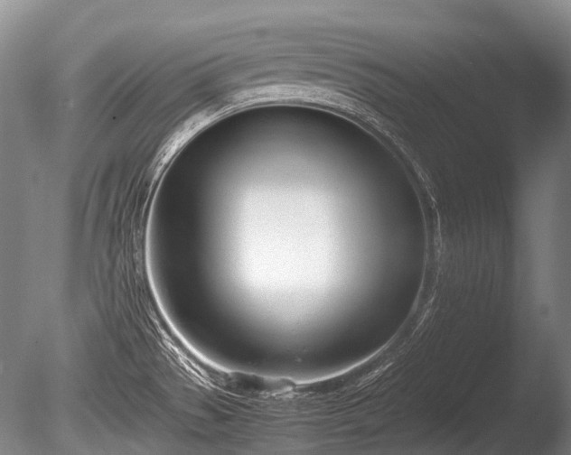 X0000086041529200703301026