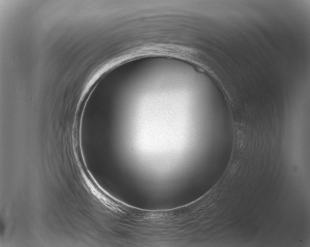 X0000086041531200703301026