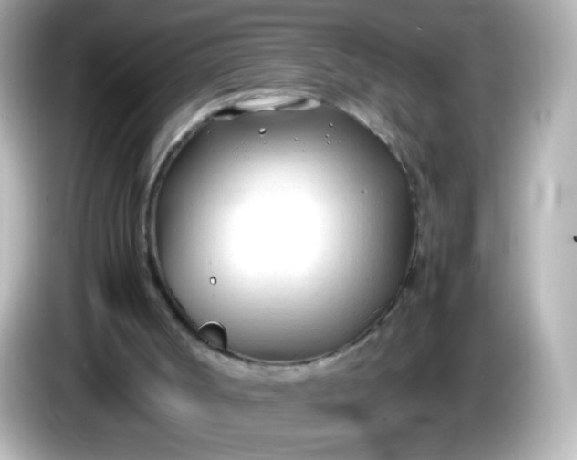 X0000086040002200704091159