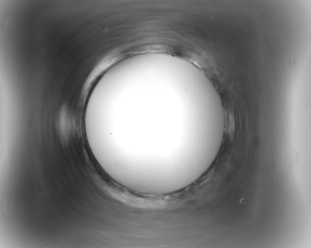 X0000086040004200704091159