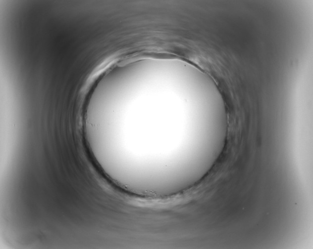 X0000086040005200704091159