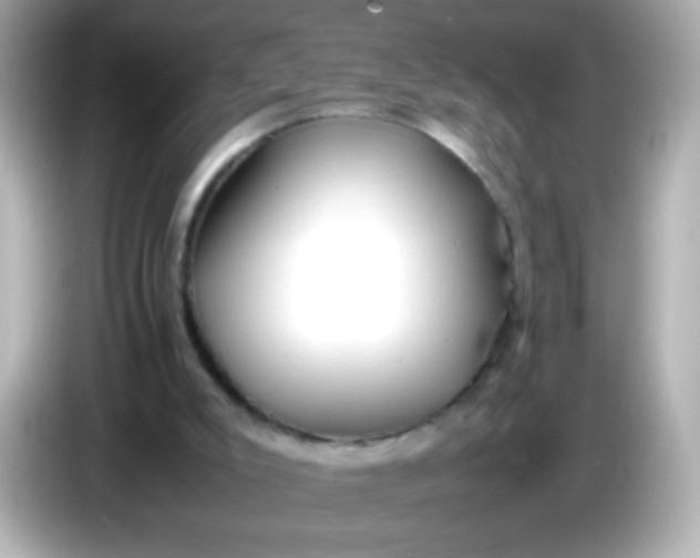 X0000086040007200704091159