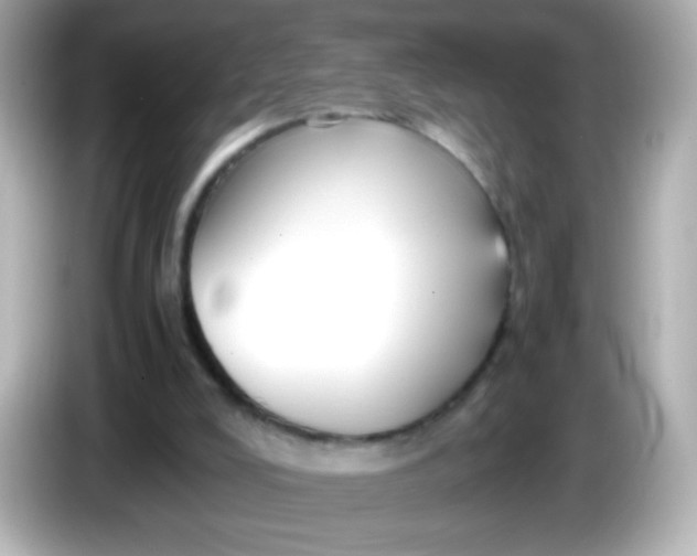 X0000086040008200704091159