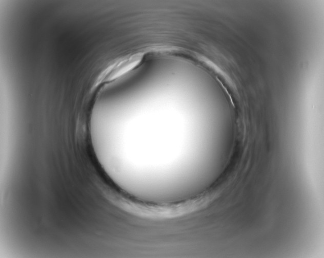 X0000086040015200704091159