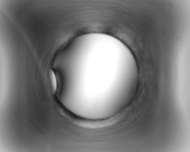 X0000086040017200704091159