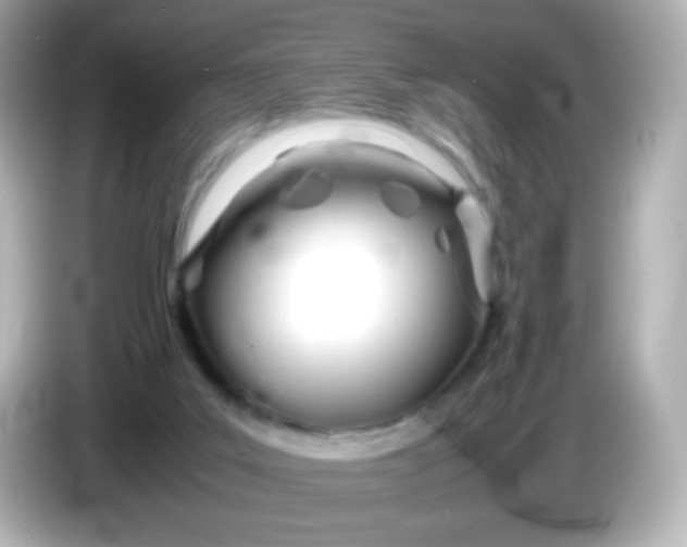 X0000086040019200704091159