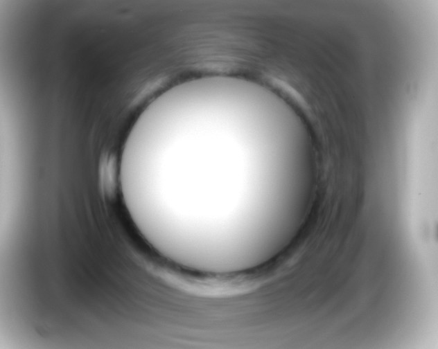 X0000086040020200704091159