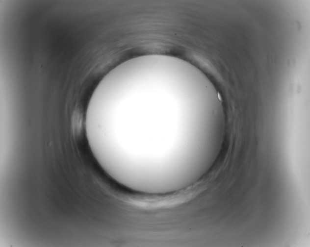 X0000086040021200704091159