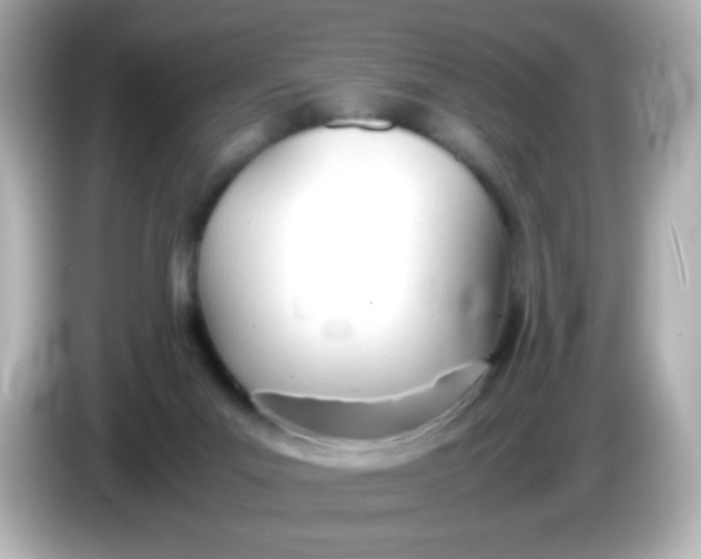 X0000086040023200704091159