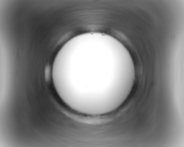X0000086040024200704091159
