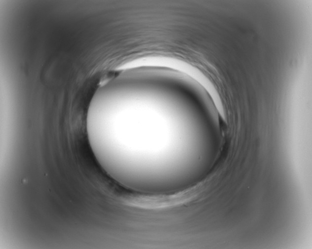 X0000086040029200704091159