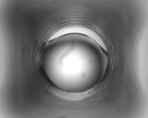 X0000086040031200704091159