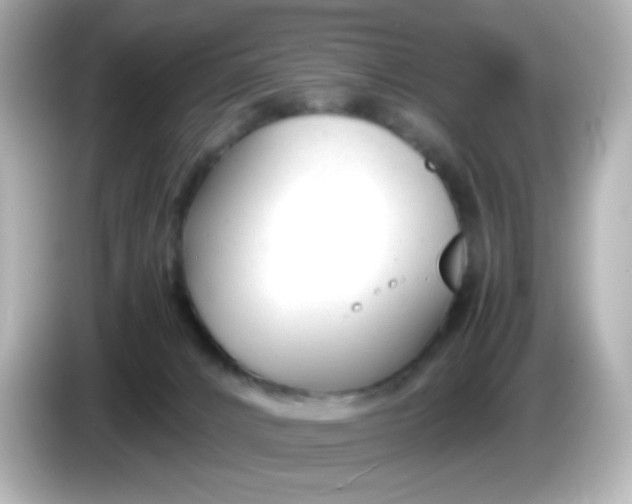 X0000086040032200704091158