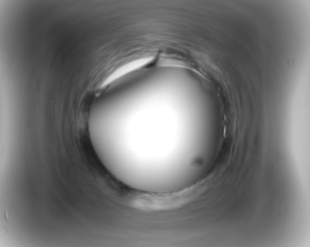 X0000086040033200704091158