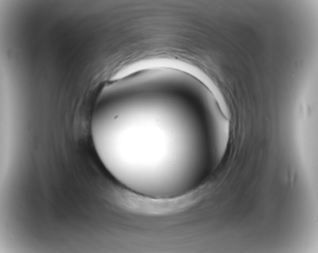 X0000086040039200704091158