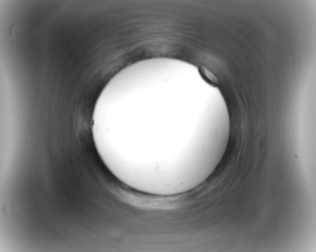 X0000086040040200704091158