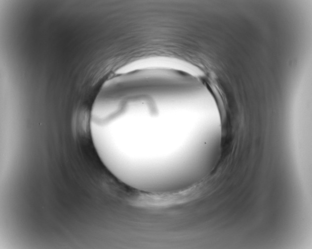 X0000086040041200704091158