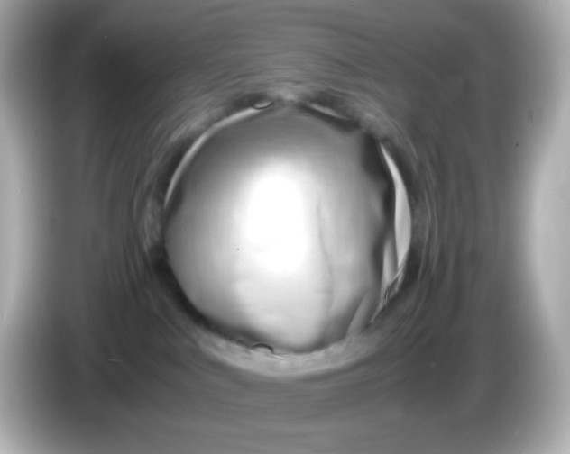 X0000086040043200704091158