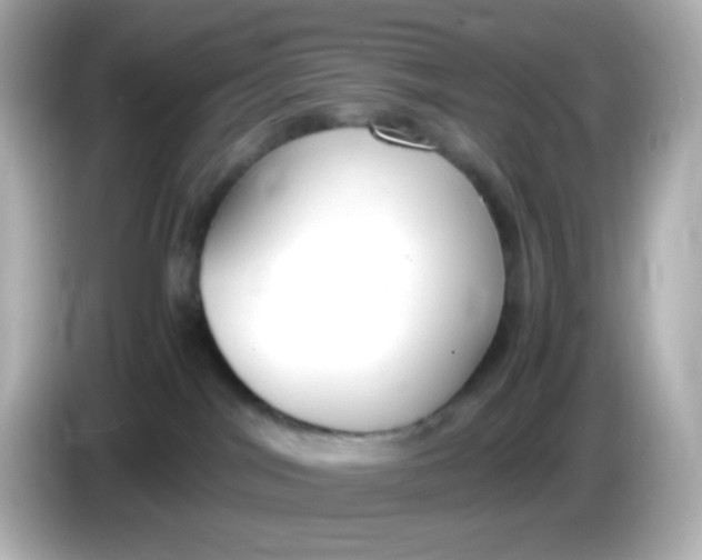 X0000086040044200704091158
