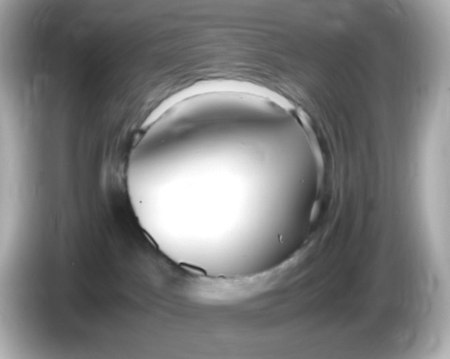 X0000086040045200704091158