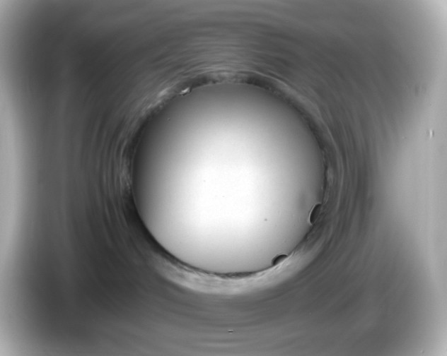 X0000086040048200704091158