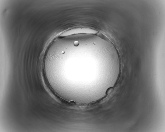 X0000086040049200704091158
