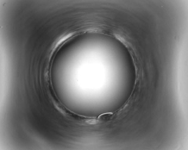 X0000086040050200704091158