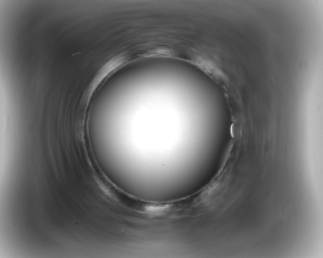 X0000086040051200704091158