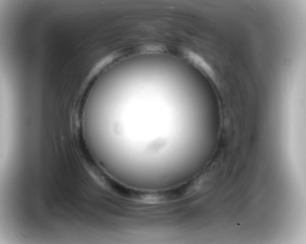 X0000086040059200704091158