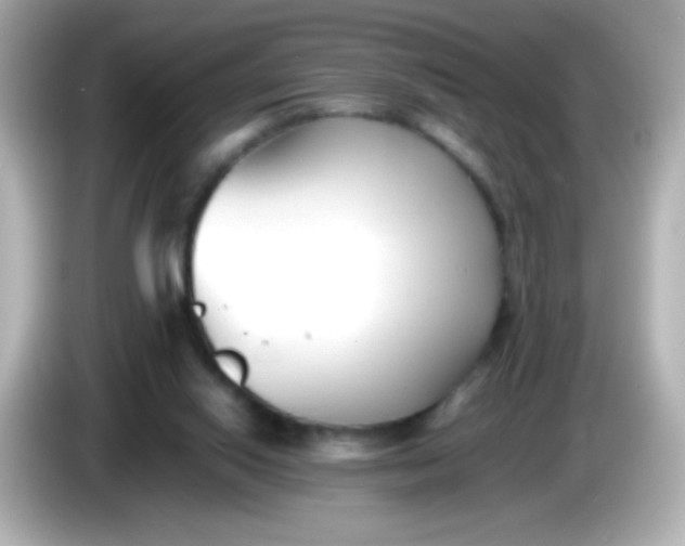 X0000086040062200704091158