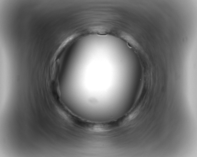 X0000086040064200704091158