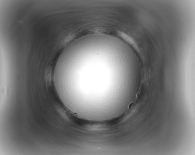 X0000086040065200704091158