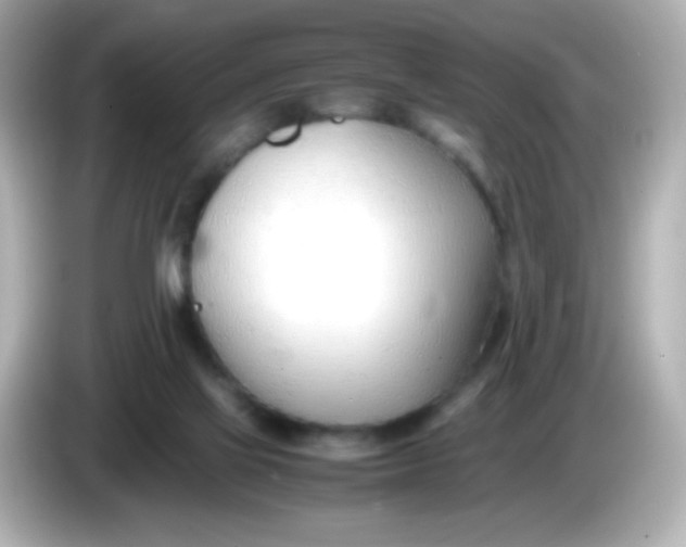 X0000086040069200704091158