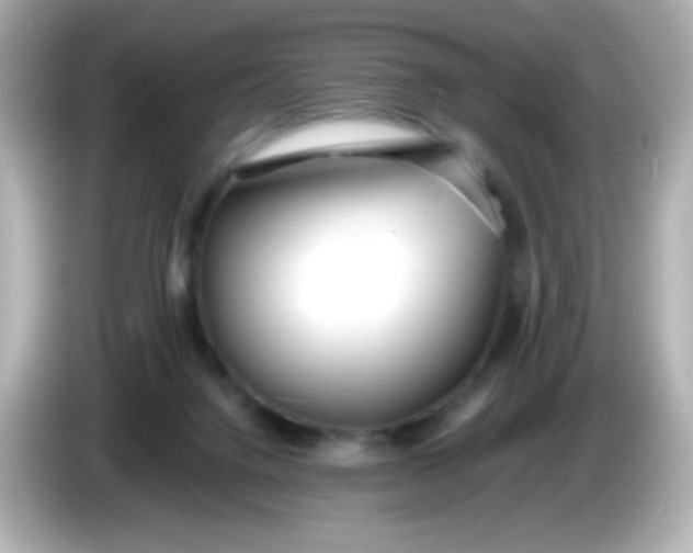 X0000086040072200704091158