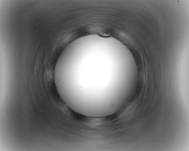 X0000086040081200704091158