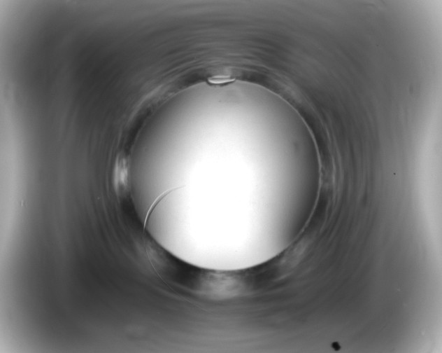 X0000086040095200704091158