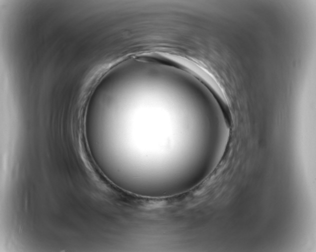 X0000086040097200704091158