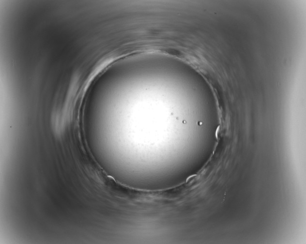 X0000086040099200704091158