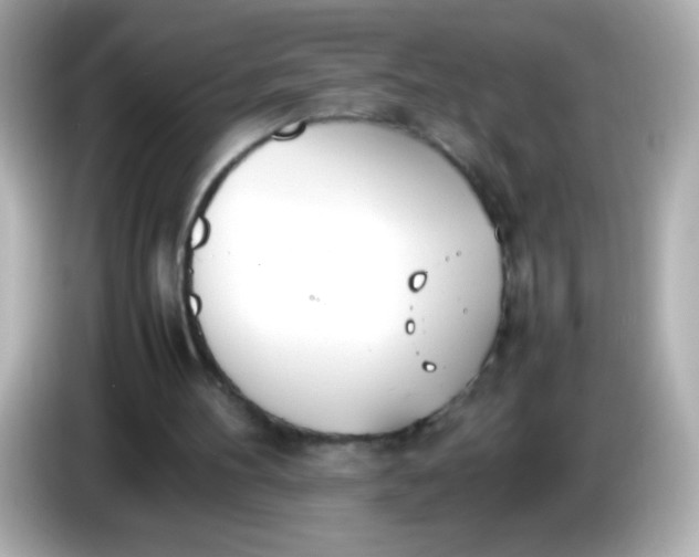 X0000086040100200704091158