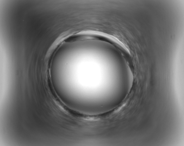 X0000086040101200704091158
