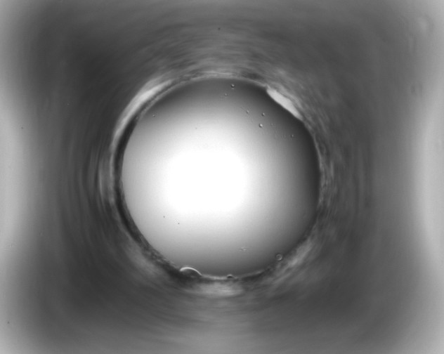X0000086040102200704091158