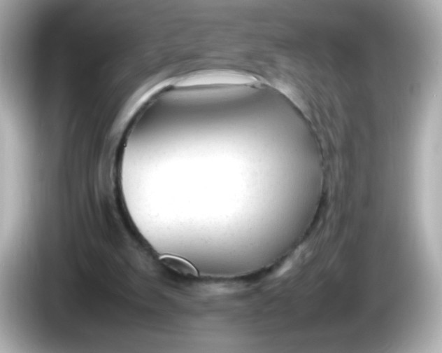 X0000086040103200704091158