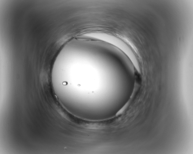X0000086040105200704091158