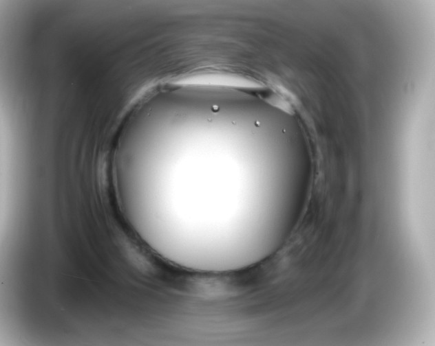 X0000086040106200704091158